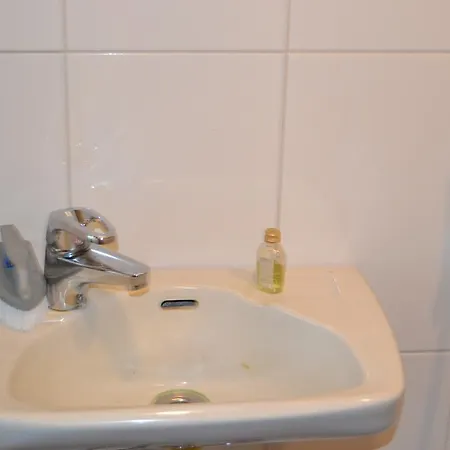 فيلة Linnunlaulu